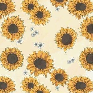 Meet your Posher, Kiley